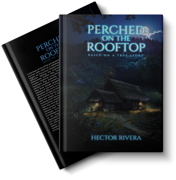 Perched On The Rooftop - Paperback